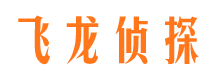 白沙侦探公司